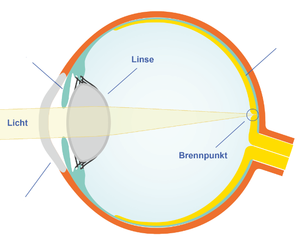 Normalsichtigkeit Illustration